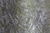 Whissendine fibreglass roof work